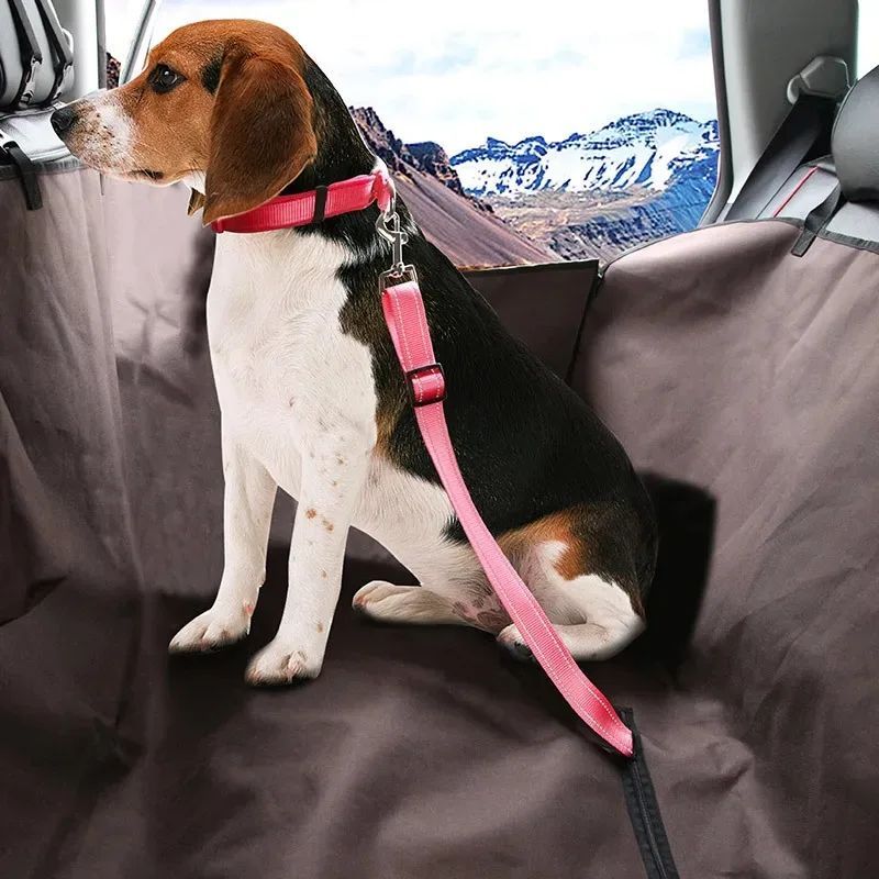 Adjustable Dog Car Restraint Leash